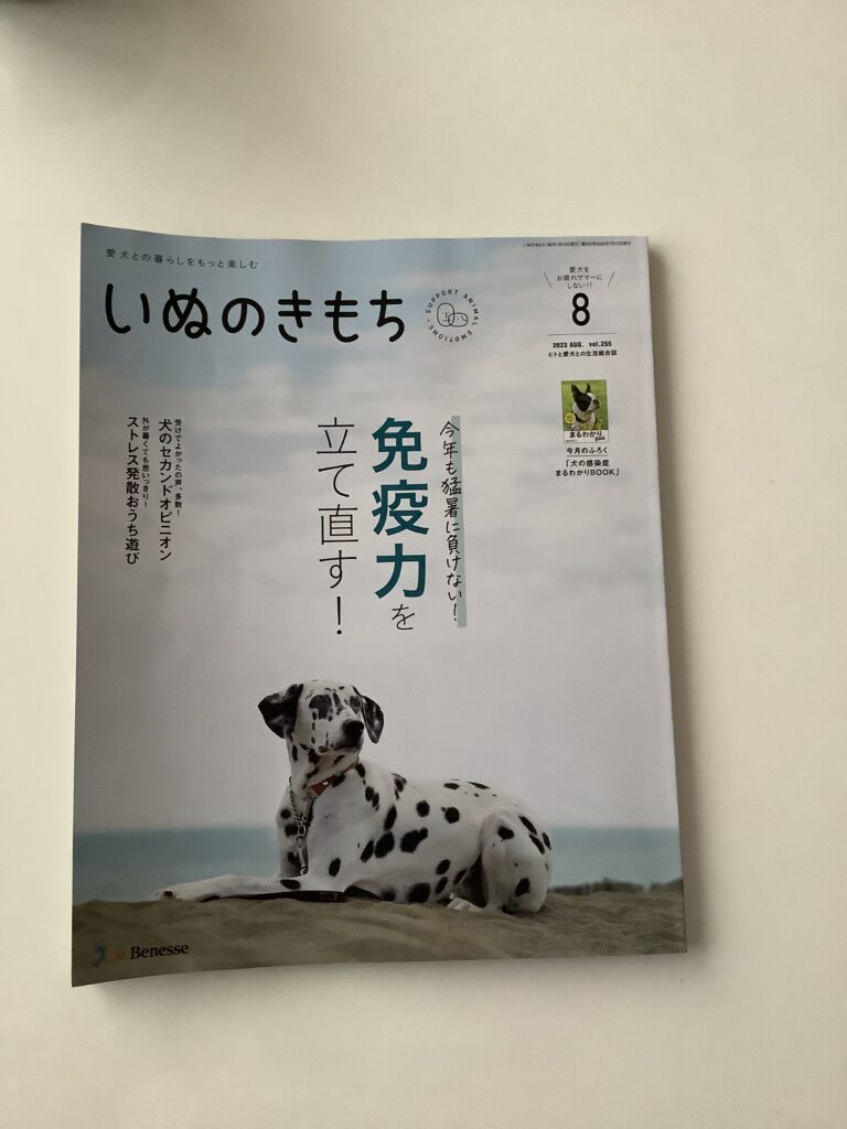 犬の気持ち 2023.08